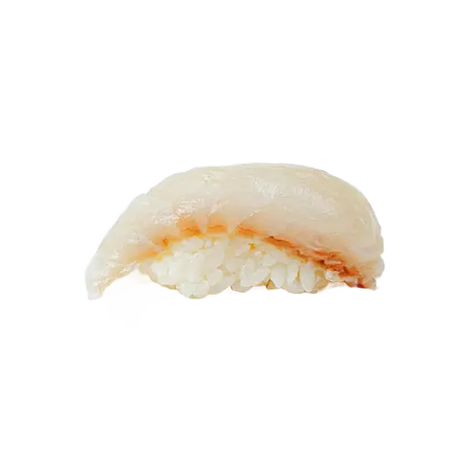 [20] Nigiri daurade